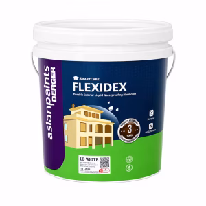 Asian Paints Berger 18L Flexidex LE