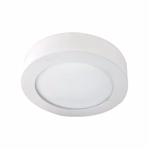 30W Round Led Surface Light