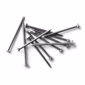 1" Wire Nail 14Kg